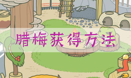 打腊梅游戏,一场别开生面的打腊梅游戏盛宴