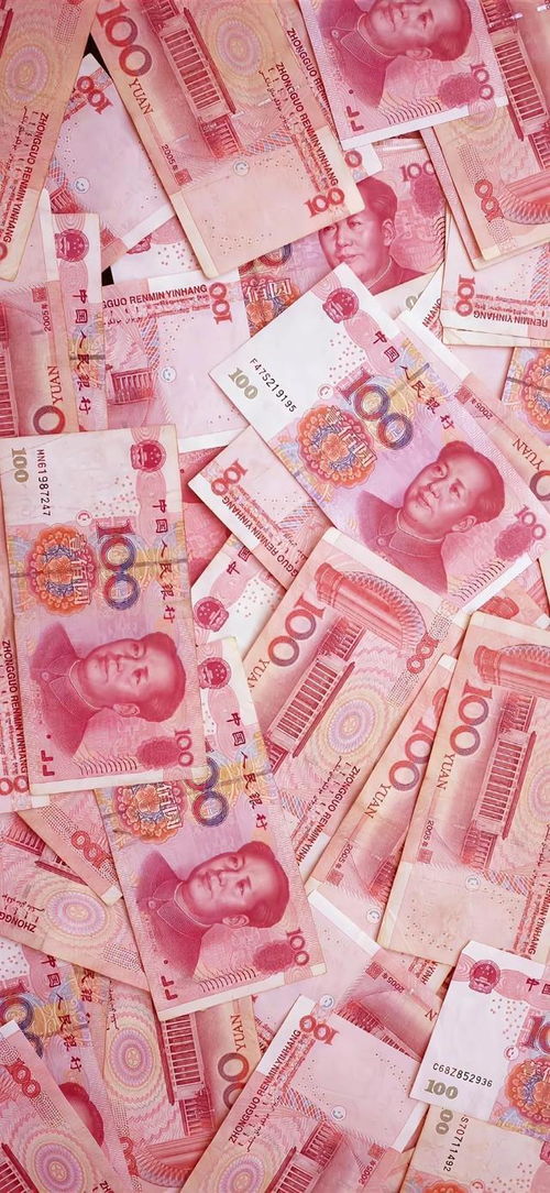 找回压岁钱的100种 *** 2 