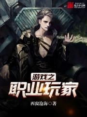 职业玩家游戏,揭秘游戏世界的多元职业体验与策略技巧
