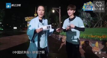 撕摸游戏
