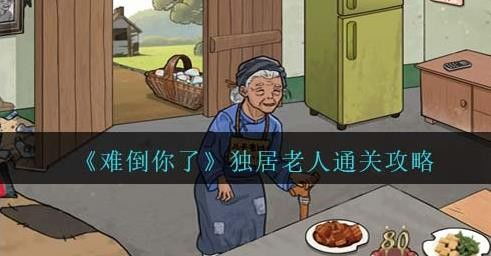 独居老人游戏,独居老人游戏体验新篇章