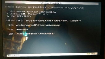 安卓和w10双系统,安卓与Windows 10的完美融合体验